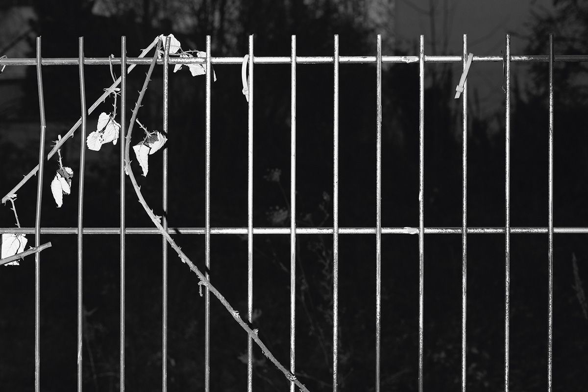 Der Staat gegen Lina E. JACOBIN Magazin